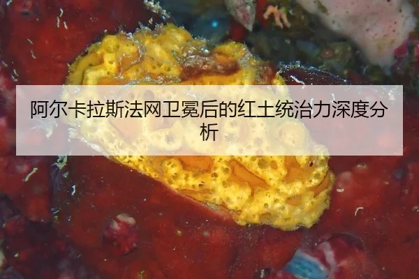 阿尔卡拉斯法网卫冕后的红土统治力深度分析